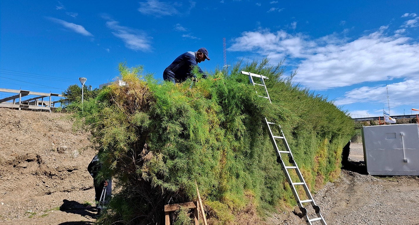 Avanza el plan de embellecimiento y limpieza en Caleta Olivia