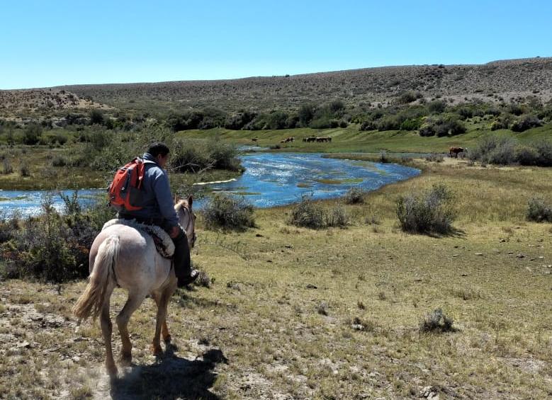 Nueva jornada de labor en comisiones en la Cámara de Diputados de Santa Cruz