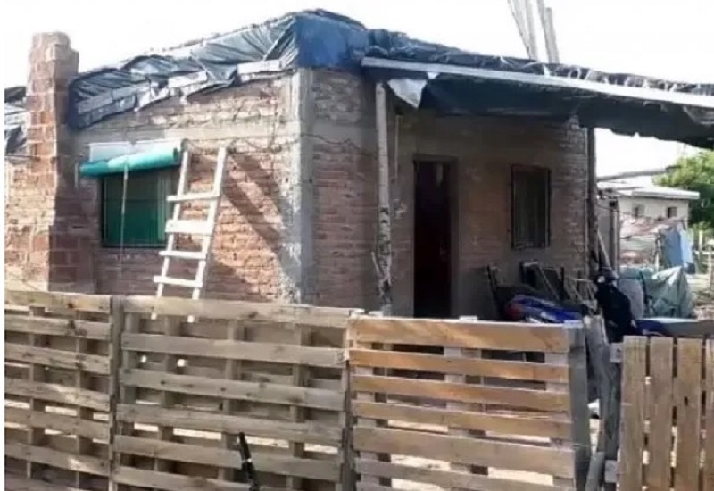 Un pitbull atacó a una beba y tuvieron que sacrificarlo para salvarla