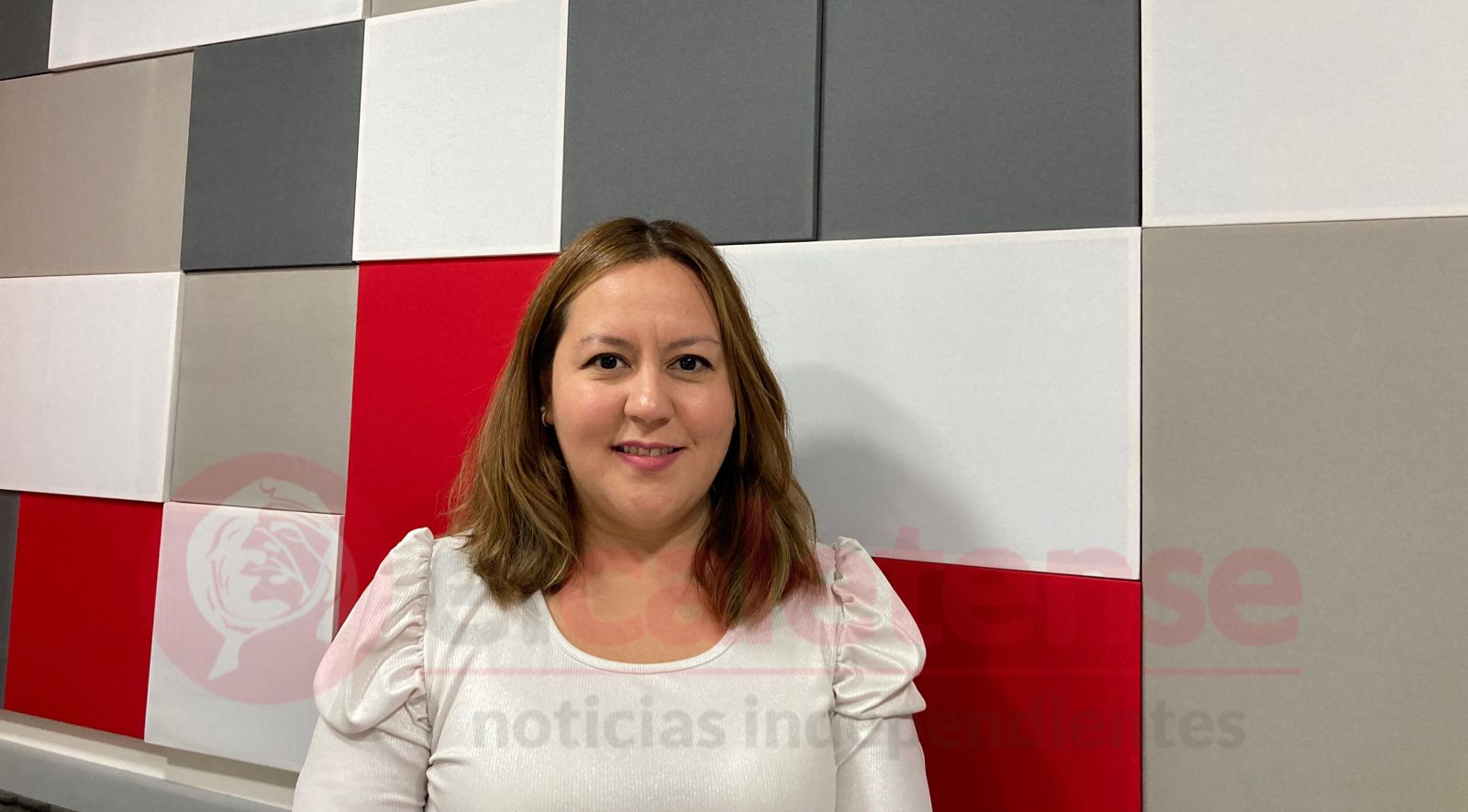 La asociación de abogados desarrollará una jornada sobre violencia virtual 