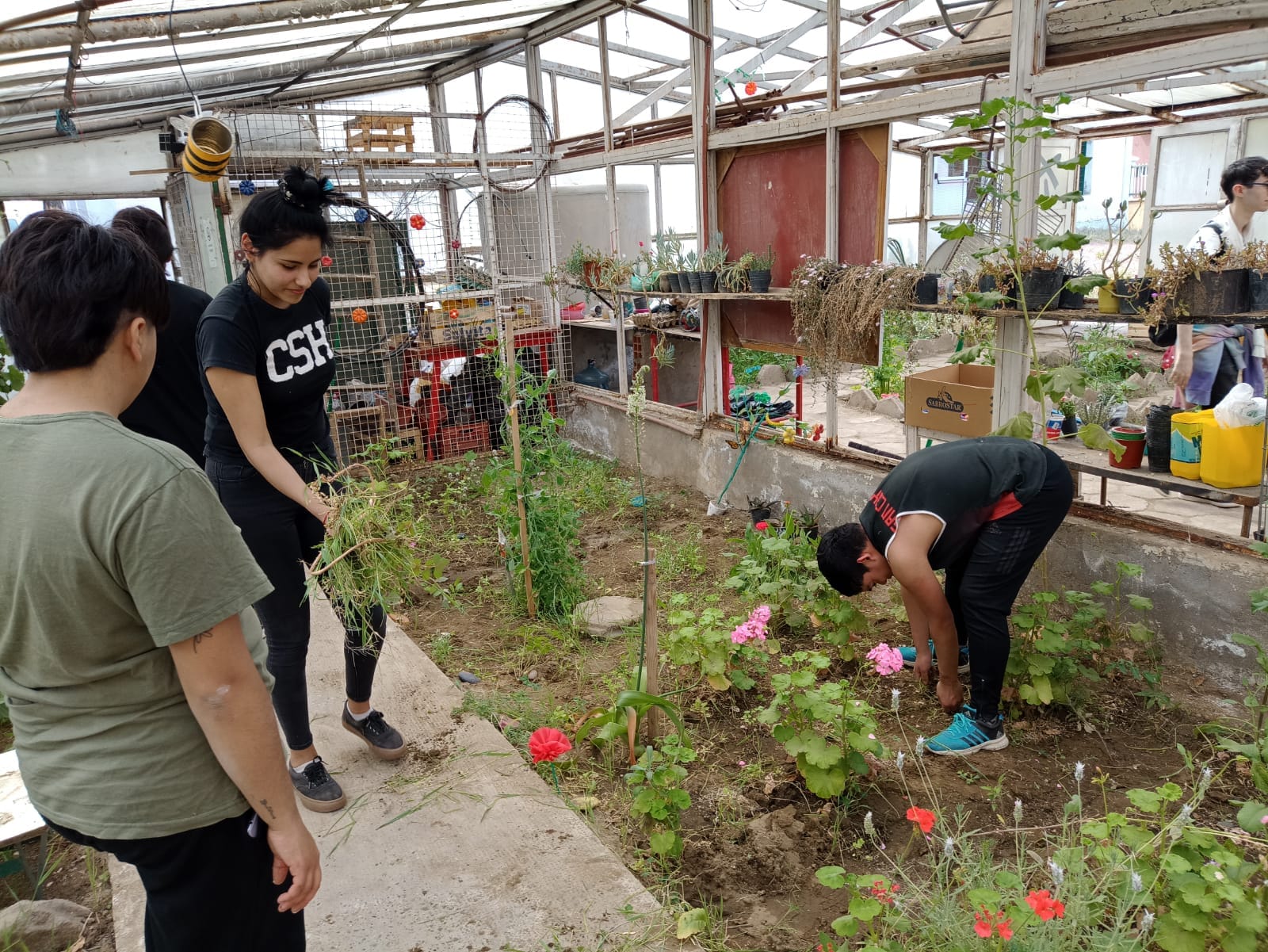 Nueva jornada de labor en comisiones en la Cámara de Diputados de Santa Cruz