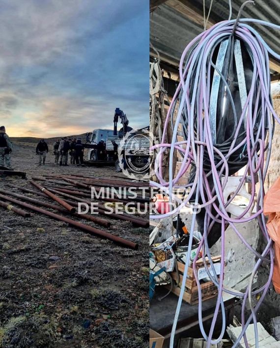 El guanaco en Santa Cruz: entre el desafío ambiental y su potencial nutricional