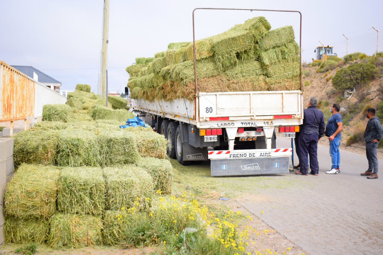 Un camionero casi vuelca y le 
