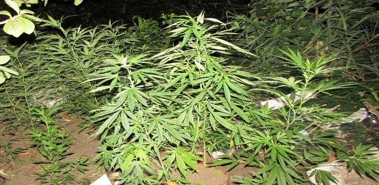 Allanamiento en barrio Ceferino: éxito en investigación por robo