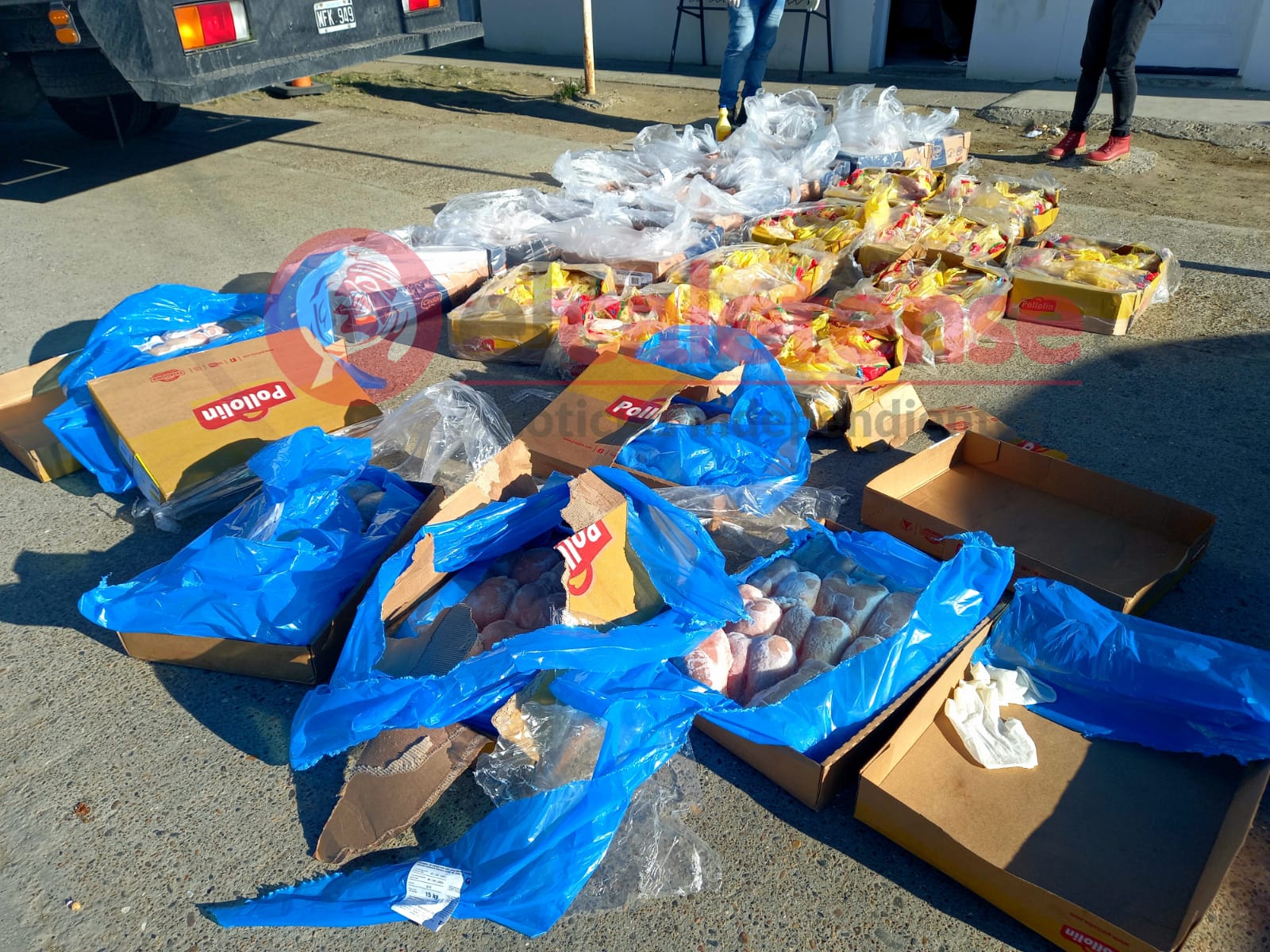 Listo el Pollo: entre patamuslo y pechugas decomisaron 400 kilos de pollo que provenían del tráfico