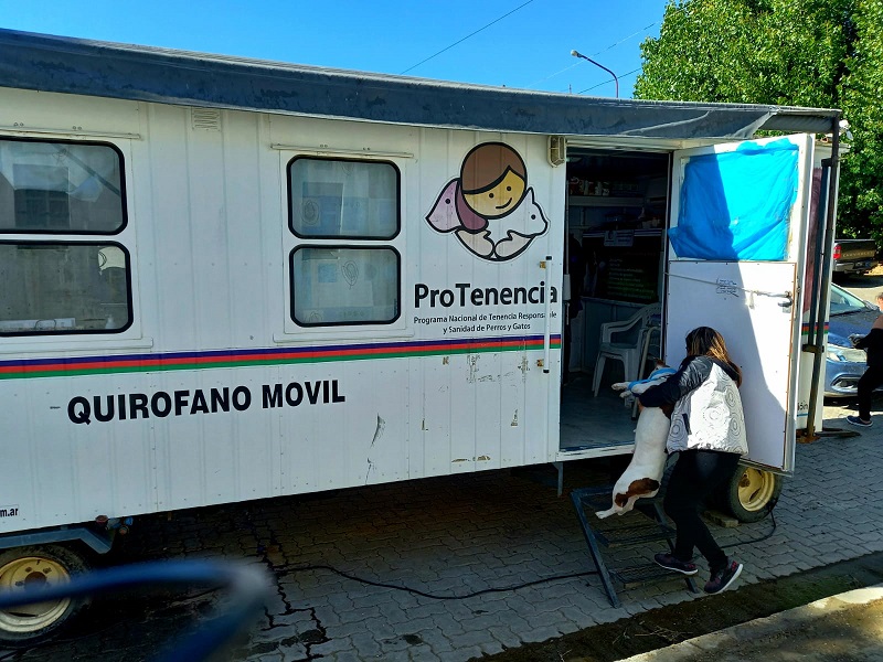 Castración de mascotas en el barrio mar del plata