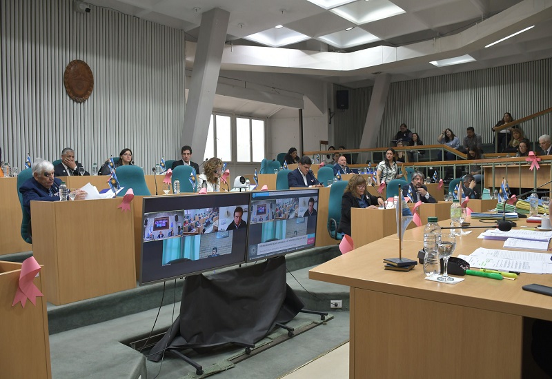 Nueva jornada de labor en comisiones en la Cámara de Diputados de Santa Cruz