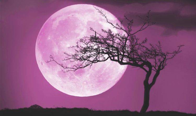 Luna Rosa hoy: cómo afectará a cada signo del zodiáco