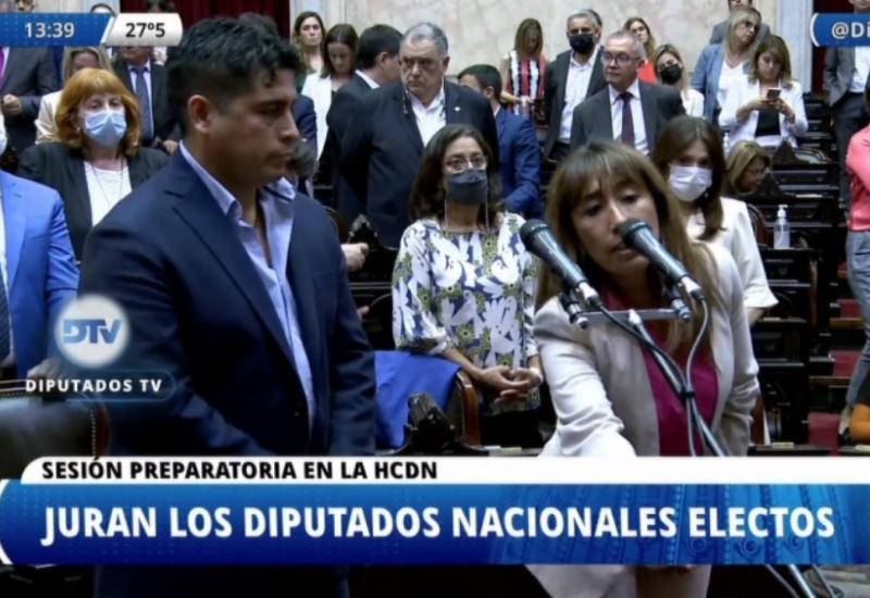 Juraron Claudio Vidal y Roxana Reyes como diputados nacionales