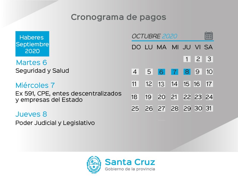 Preocupación por la aparición de pingüinos muertos en la costa de Caleta Olivia
