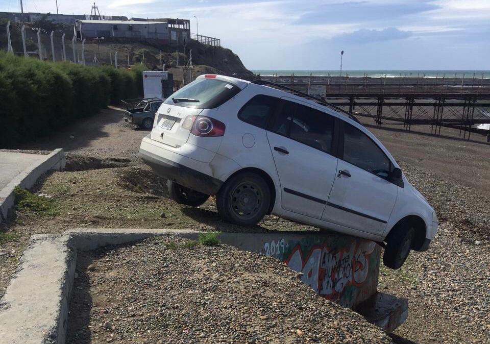 El guanaco en Santa Cruz: entre el desafío ambiental y su potencial nutricional