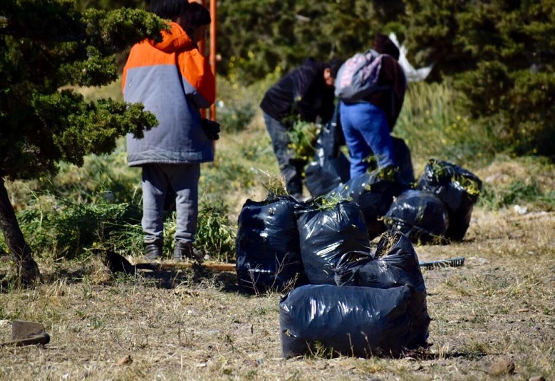 El área de Servicios lanzó cronograma de recolección para las fiestas
