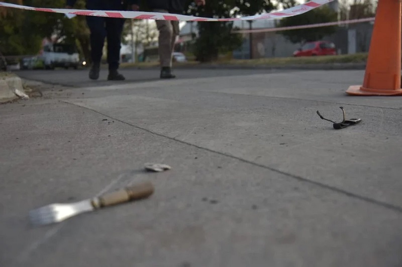 El guanaco en Santa Cruz: entre el desafío ambiental y su potencial nutricional