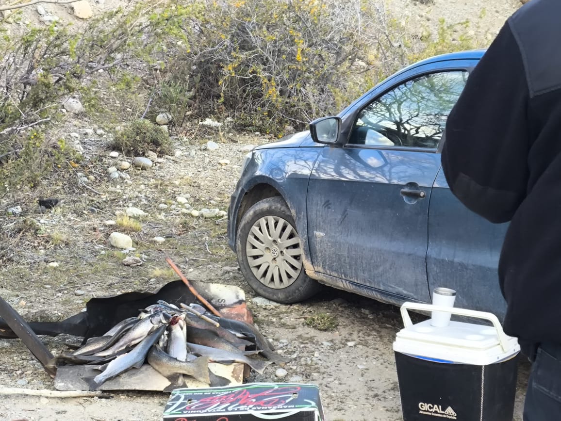 Operativo conjunto contra el furtivismo en Lago Posadas