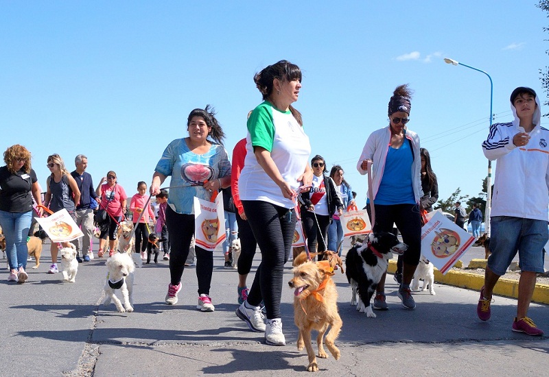 La Eco Caminata reunió a más de 60 mascotas en la Costanera