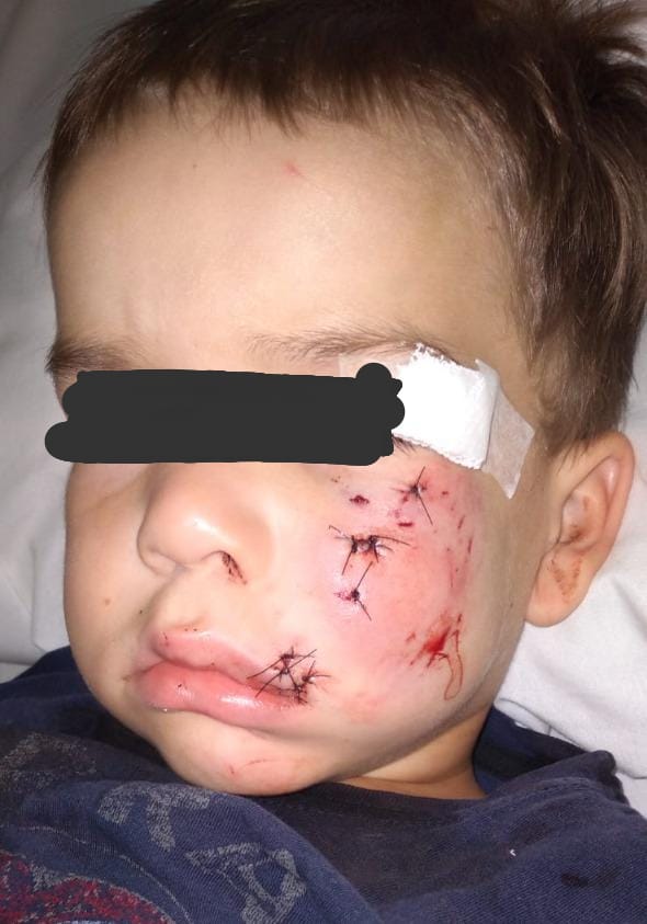 La gestión de Claudio Vidal invierte 190 millones de pesos para llevar agua al barrio 22 de Septiembre