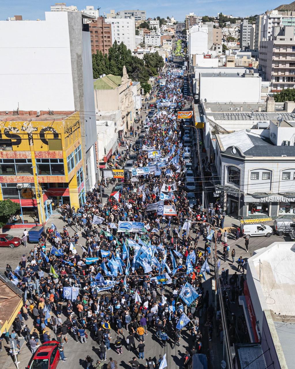 El guanaco en Santa Cruz: entre el desafío ambiental y su potencial nutricional