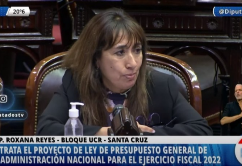 Roxana Reyes en la sesión por el Presupuesto 2022 pidió 