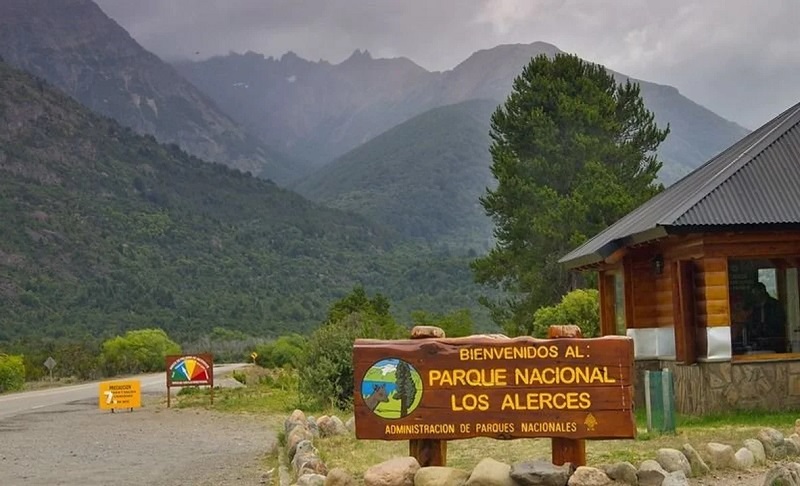 Desmantelan invernadero clandestino de marihuana en barrio Rotary XXIII