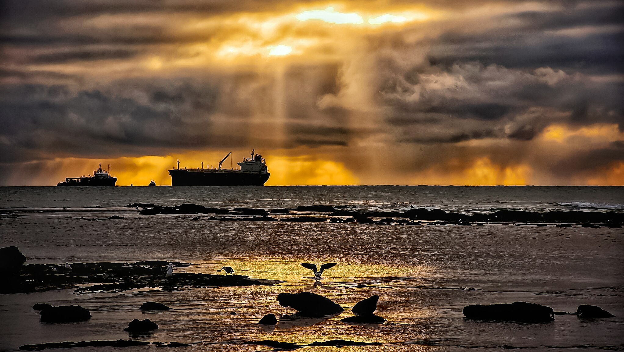 Octubre tendrá un feriado más para los habitantes de Santa Cruz 