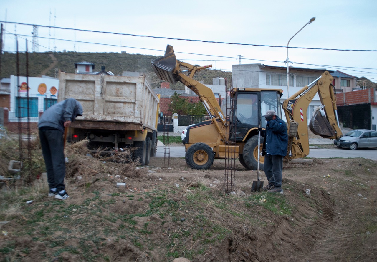 Servicios: Inician los operativos de poda y continúan con la limpieza de la ciudad