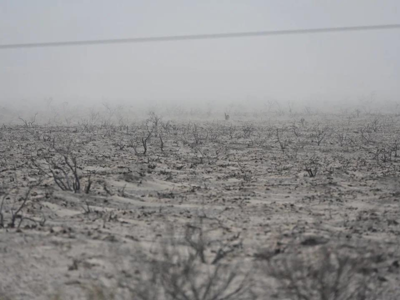 Incendio en Madryn: mantienen una 