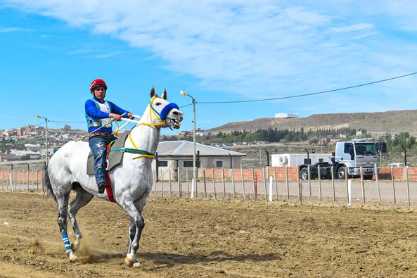 Multitudinario encuentro hípico en Caleta Olivia 