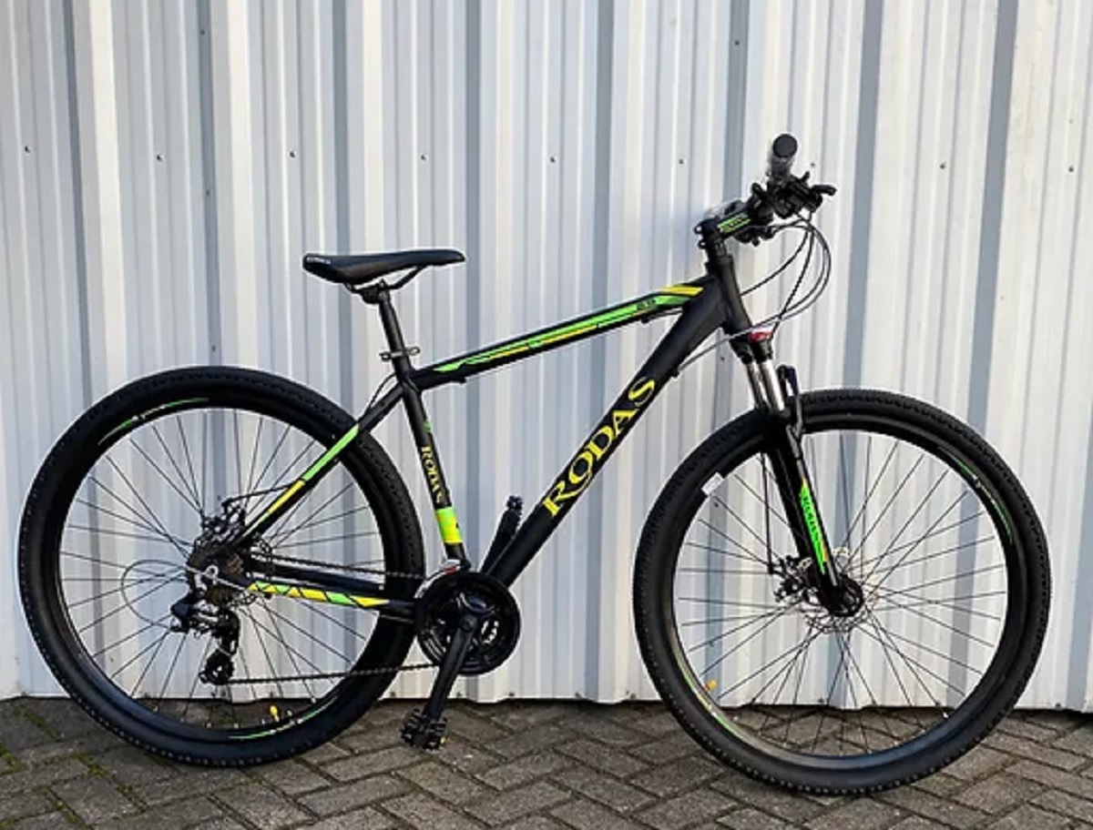 Motochorros le pegaron y le robaron la bici