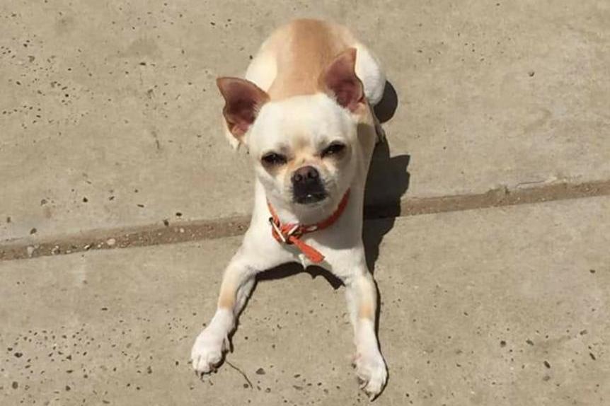 ¿Dónde está Chasquibom? Su familia lo busca con desesperación, tras 10 días de ausencia