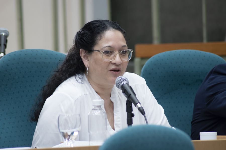 “Fue transparente y necesaria”: Loreiro respaldó la presentación de Pérez Soruco ante Diputados