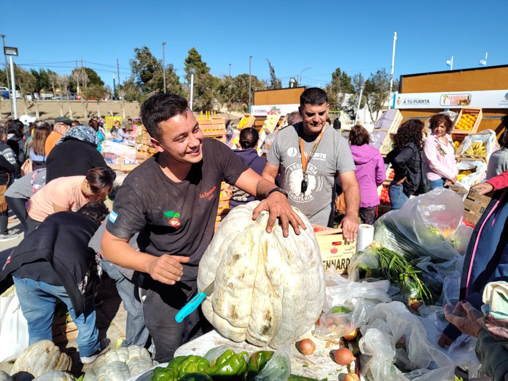 El guanaco en Santa Cruz: entre el desafío ambiental y su potencial nutricional