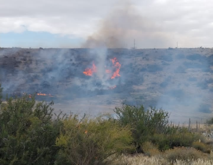 Nueva jornada de labor en comisiones en la Cámara de Diputados de Santa Cruz