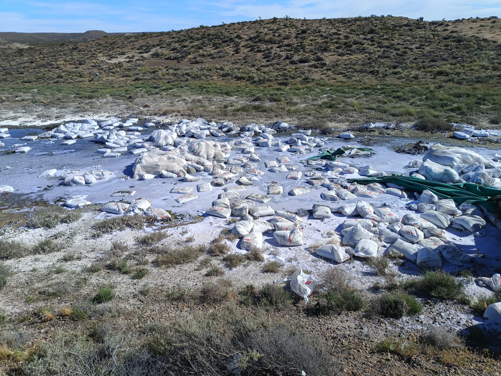 Educación presentó la guía 