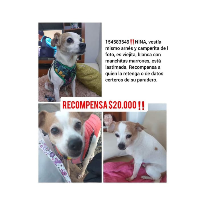 Ofrecen recompensa para encontrar a 