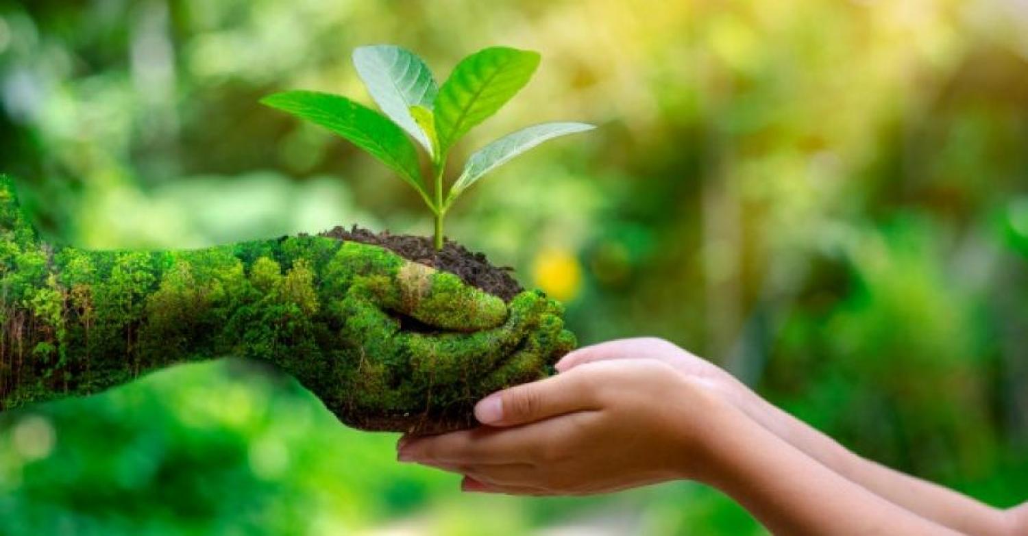 Carta del lector: el 