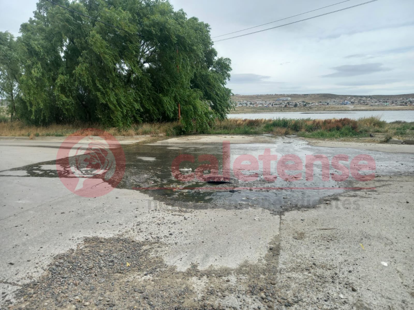 Derrames cloacales desbordan el barrio Jardín 