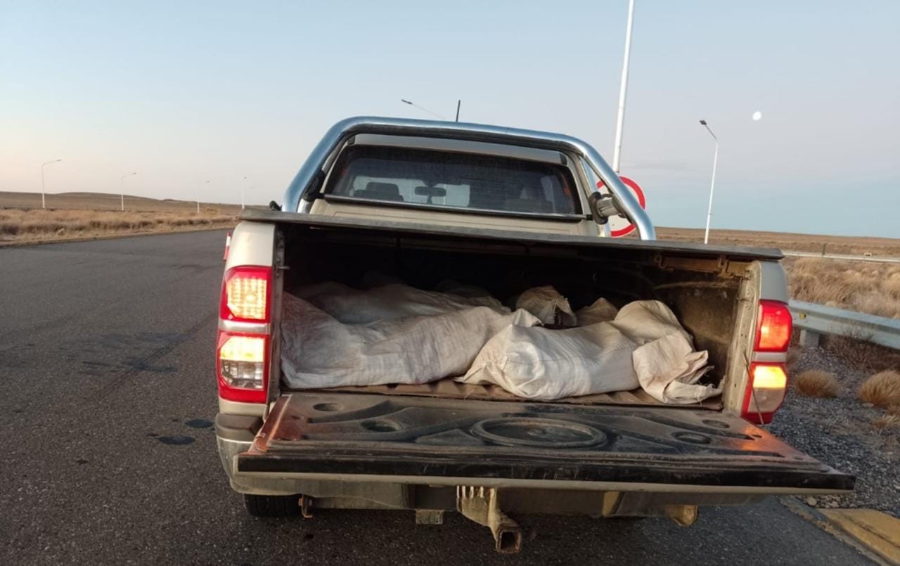 Jaramillo: decomisaron carne de guanaco a 3 hombres oriundos de Caleta Olivia 