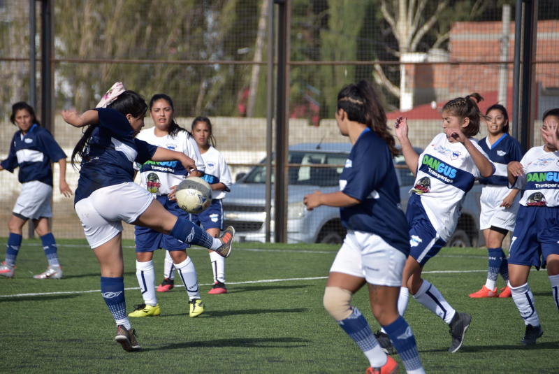 Juegos de la Araucanía: La selección femenina ya confirmó sus 18 jugadoras