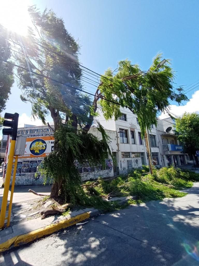 Caleta Olivia: inició la licitación para renovar el sistema de calefacción de la EPP N°88 y el CPES N°42