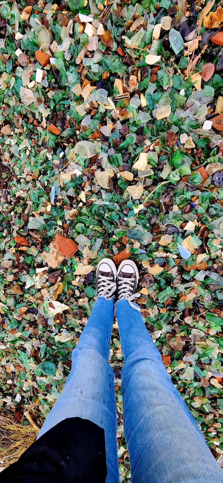 Desmantelan invernadero clandestino de marihuana en barrio Rotary XXIII